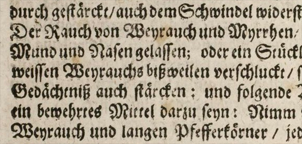 Zeiller - Vademecum 1658 - Detail