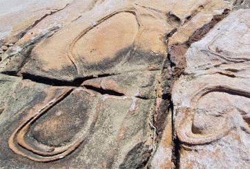 Erde - Elemente Räucherung 