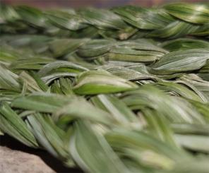 Mariengras Räucherzopf 