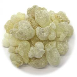 grüner Oman Weihrauch Hojari frisch 