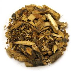 Himalaya Rhododendron geschnitten 