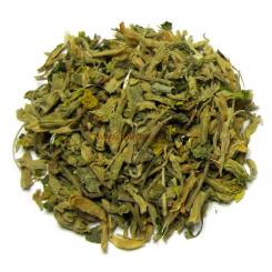 Schlüsselblume Blüte 