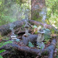 Waldmeditation -schamanische Räuchermischung 