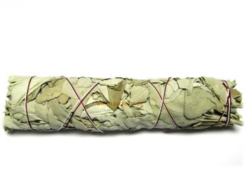 white sage bundle extra groß 