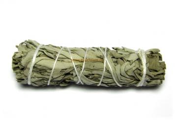 white sage bundle klein 